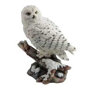 Owls