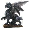 Dark Dragon