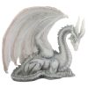 Wise Old Dragon sitting