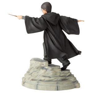 Harry-Potter-Year-One-back-view