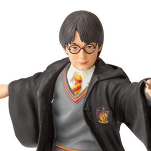 Harry-Potter-Year-One-close-up