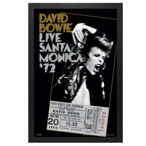 David-Bowie-Santa-Monica-Framed-Print
