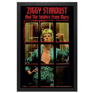 David-Bowie-Ziggy-Stardust-Framed-Print