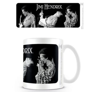 Jimi-Hendrix-Mug-Triptych