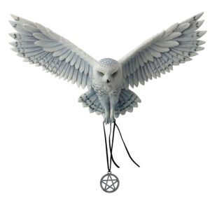 Owl-Awaken-Your-Magic