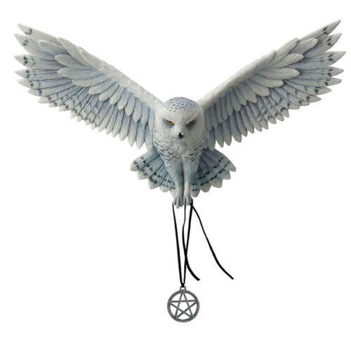 Owl-Awaken-Your-Magic