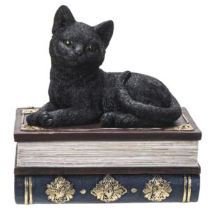 Black-Cat-Book-Box