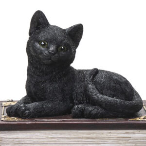 Black-Cat-Book-Box-close