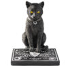 Spirit-Board-Cat