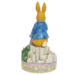 Peter-Rabbit-Onions-back