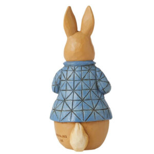 Peter-Rabbit-mini-back