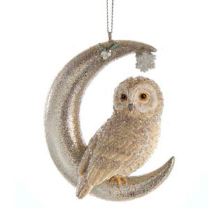 Silver-Owl-on-Moon-right