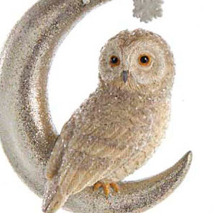 Silver-Owl-on-Moon-right-close