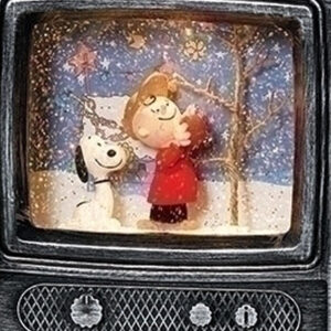 Snoopy-and-Charlie-TV-close