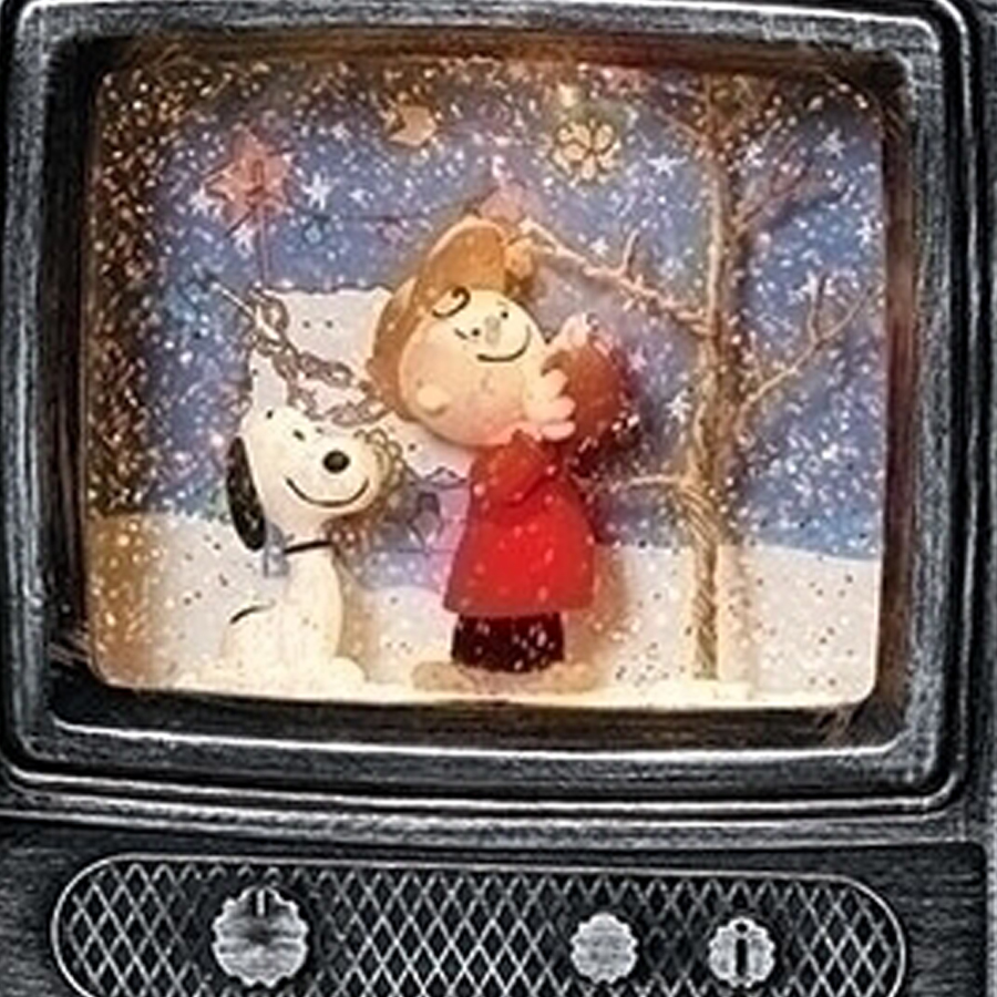 Snoopy-and-Charlie-TV-close