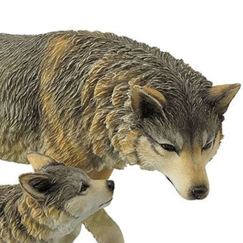 Gray-Wolf-and-Cub-close