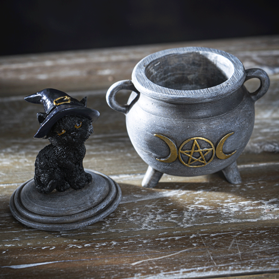 Black-Cat-on-Cauldron-open