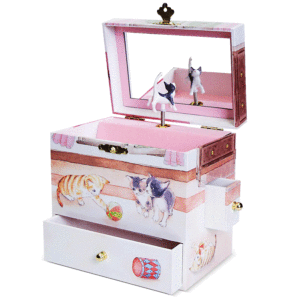 Kittens-Box-open