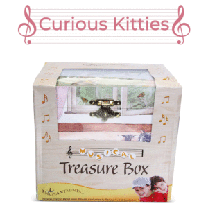 Kittens-Box-packaging