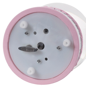Pink-Elephant-Globe-bottom