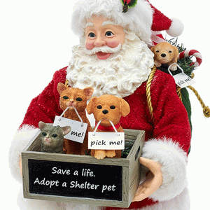 Adopt-a-Pet-Santa-close