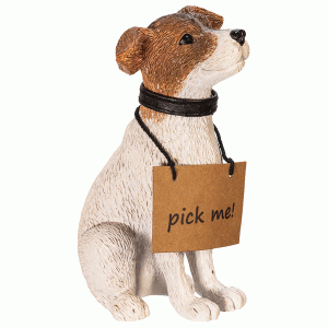 Adopt-a-Pet-Santa-dog