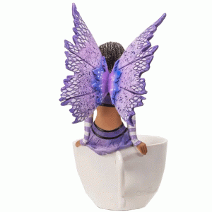 Black-Tea-Fairy-back