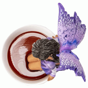 Black-Tea-Fairy-top