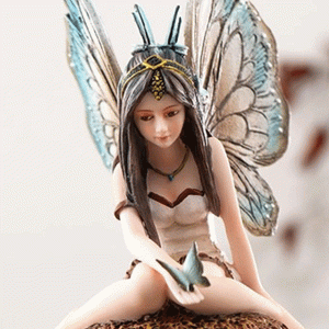 Butterfly-Fairy-Mushroom-close