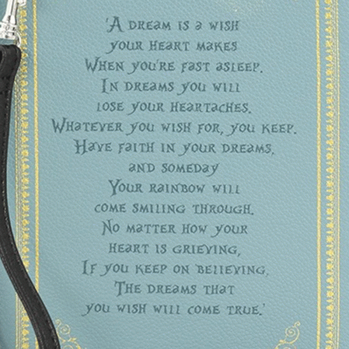 Cinderella-Purse-back-close