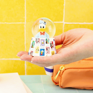 Donald-Mini-Globe-display
