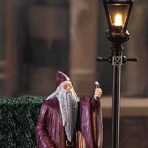 Dumbledore-Privet-Dr-display-close
