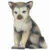 Gray-Wolf-Cub-Sitting