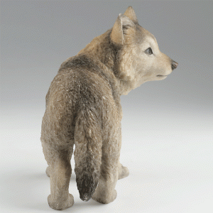 Gray-Wolf-Cub-back