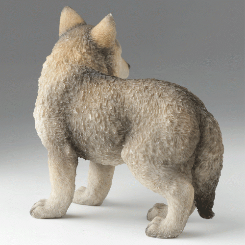 Gray-Wolf-Cub-back-left
