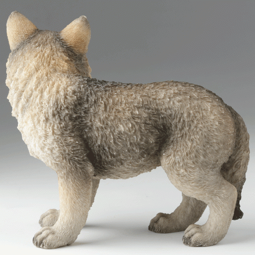 Gray-Wolf-Cub-left