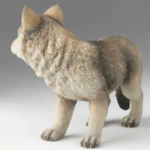 Gray-Wolf-Cub-left-angle