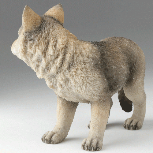 Gray-Wolf-Cub-left-angle