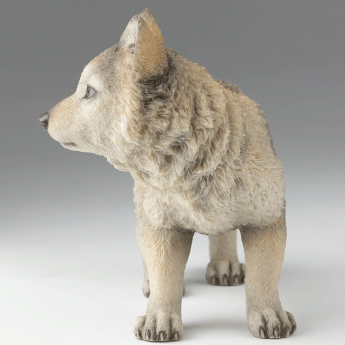 Gray-Wolf-Cub-left-front
