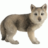 Gray-Wolf-Cub-right