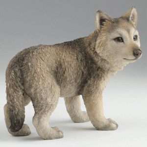 Gray-Wolf-Cub-right-angle
