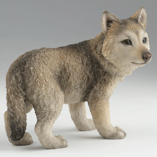 Gray-Wolf-Cub-right-angle