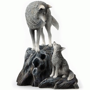 Guidance-Wolf-front