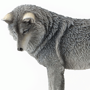 Guidance-Wolf-side-close