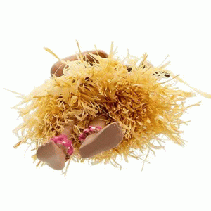 Hula-Dancer-Ukulele-bottom