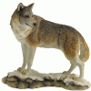 Lone-Wolf-Looking-Back