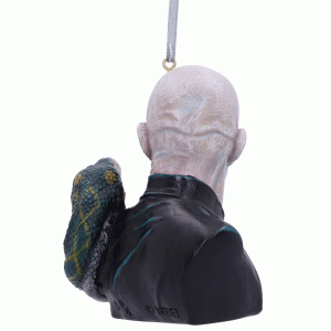 Lord-Voldemort-Orn-back