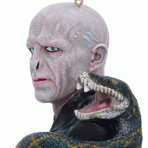 Lord-Voldemort-Orn-right-close