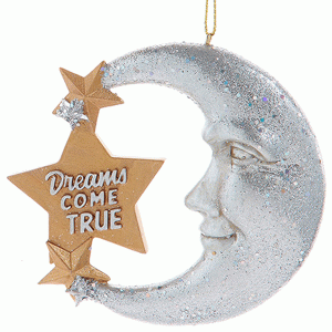 Moon-and-Star-Dreams