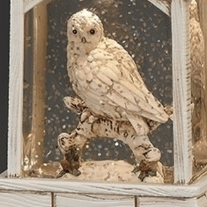 Owl-in-Barn-Shimmer-close
